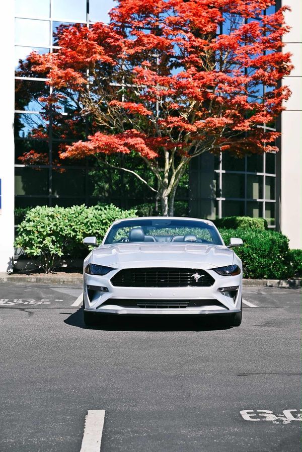 2019 Ford Mustang GT PREMIUM GT Convertible