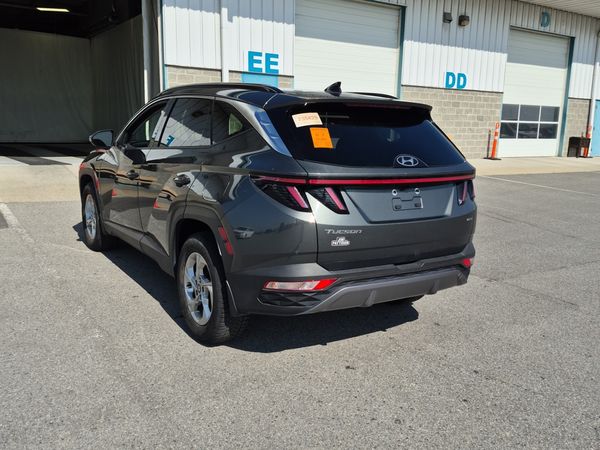 2024 Hyundai Tucson TREND-4D UTILITY AWD