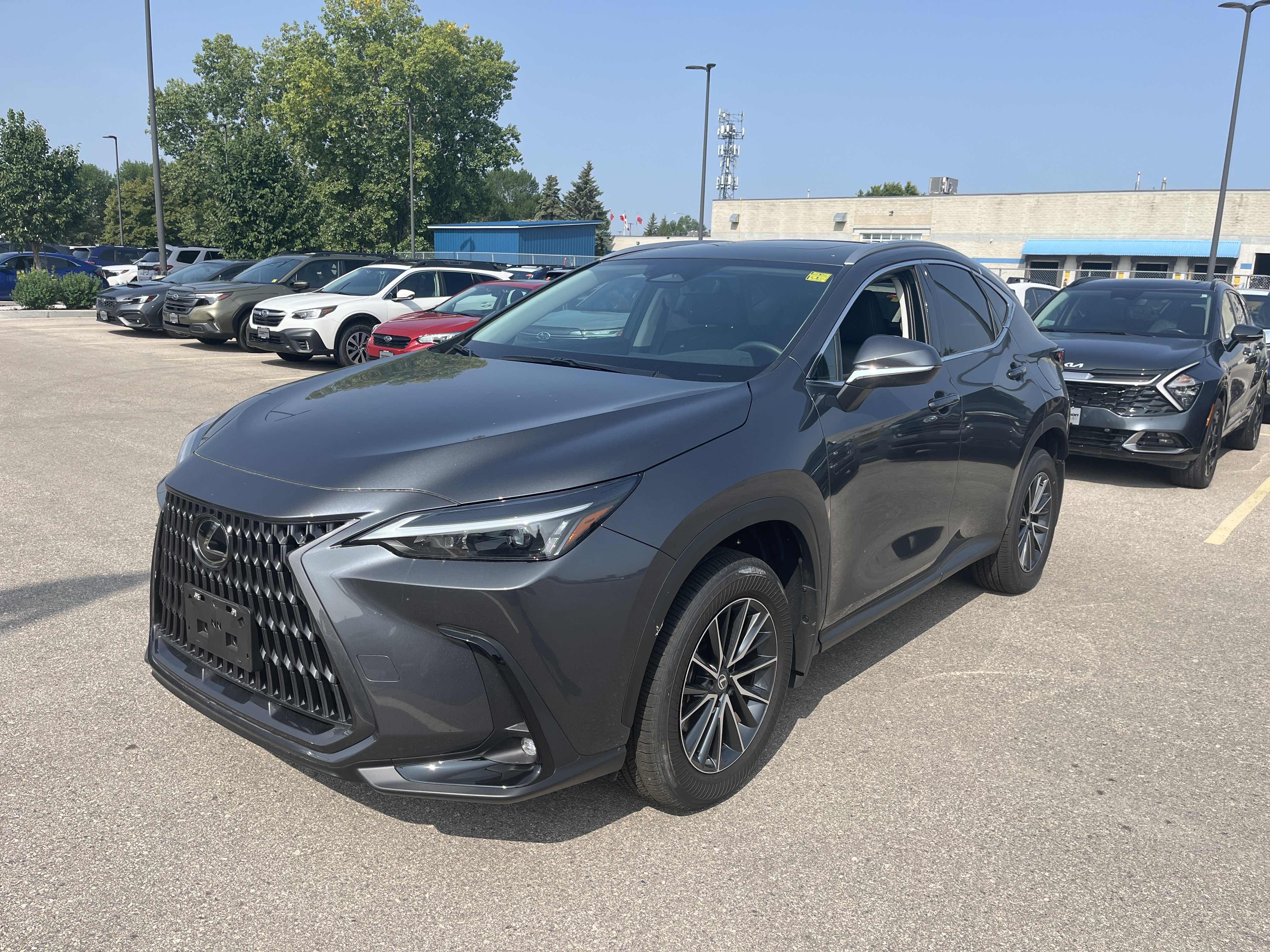 2026 Lexus NX NX 350 350 Premium