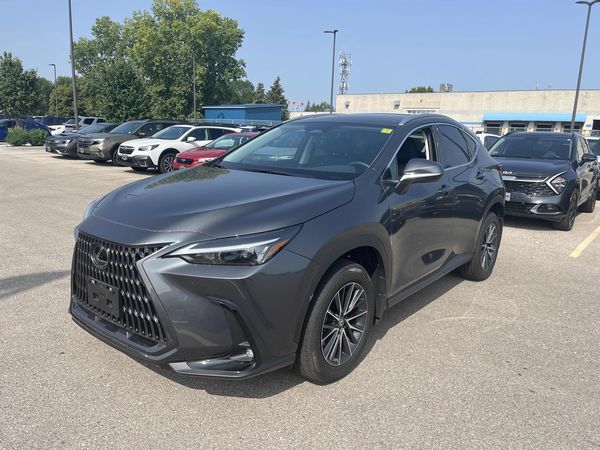2026 Lexus NX NX 350