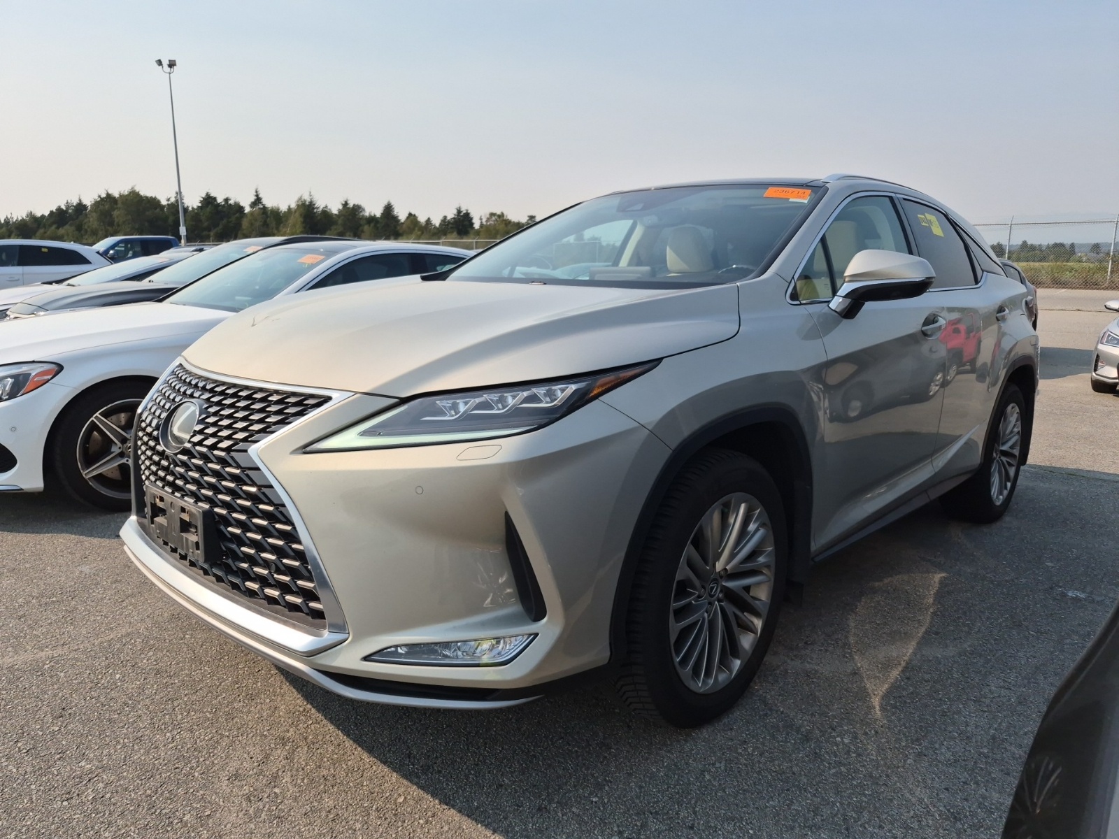 2020 Lexus RX RX 350 350 Luxury