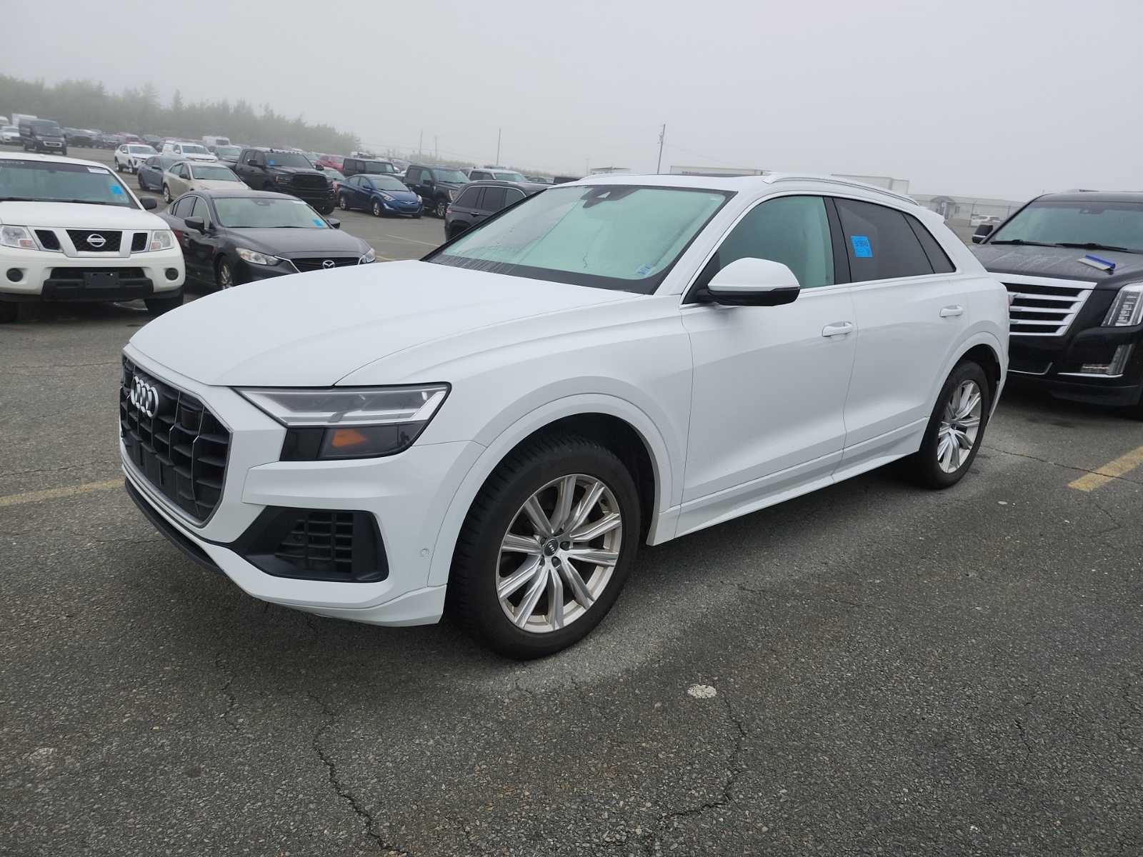 2019 Audi Q8 55 Tfsi Quattro Progressiv Premium