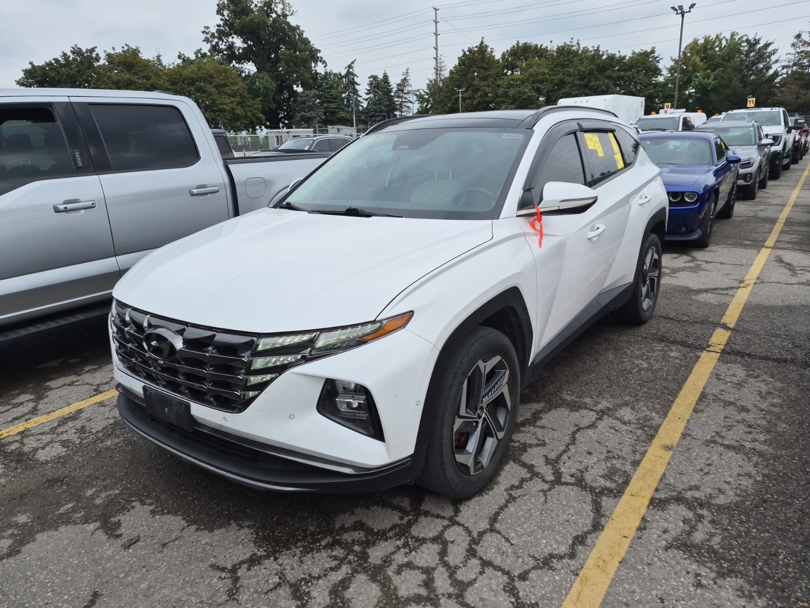 2022 Hyundai Tucson Hybrid ULTIMATE