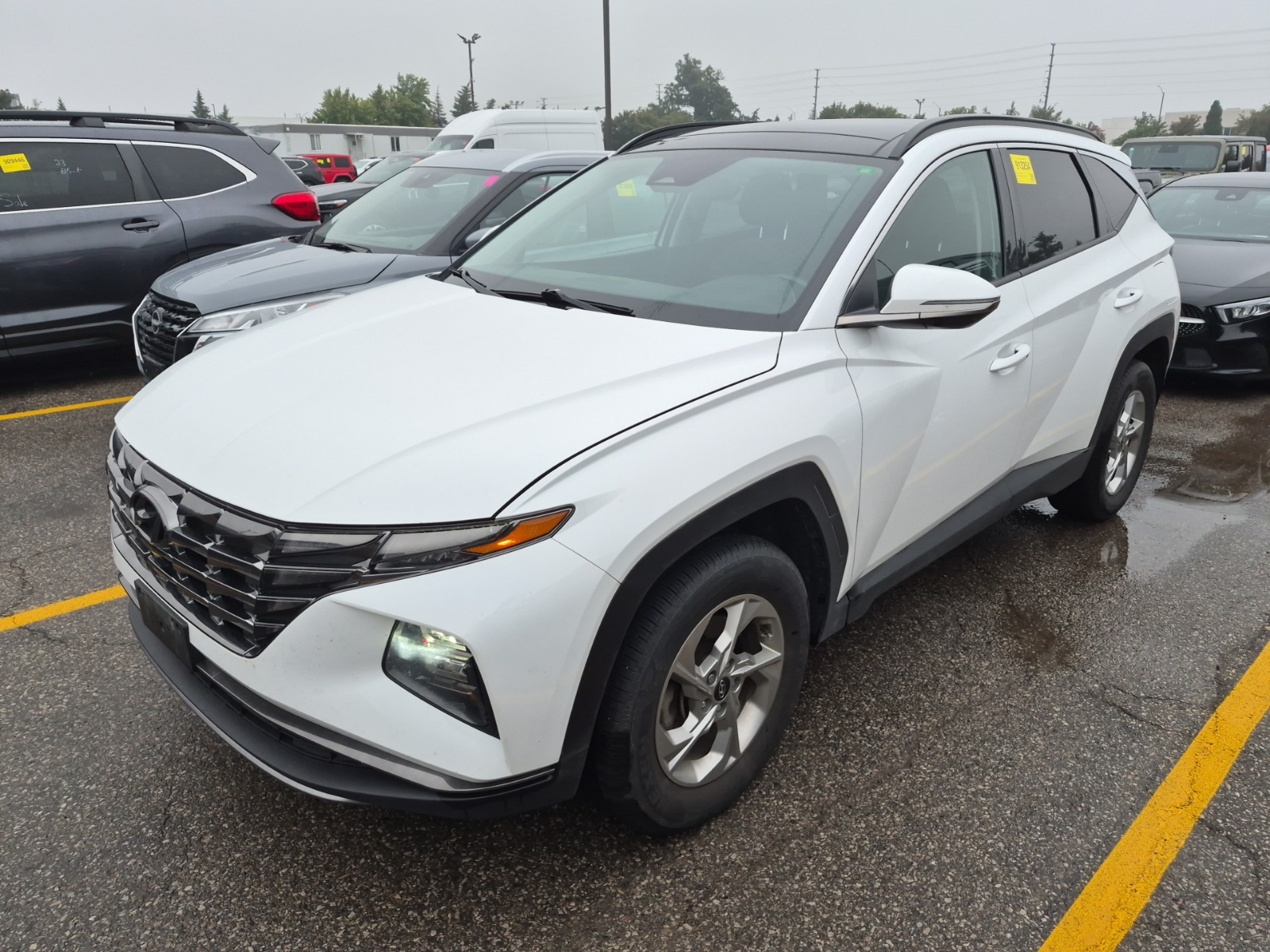 2024 Hyundai Tucson TREND