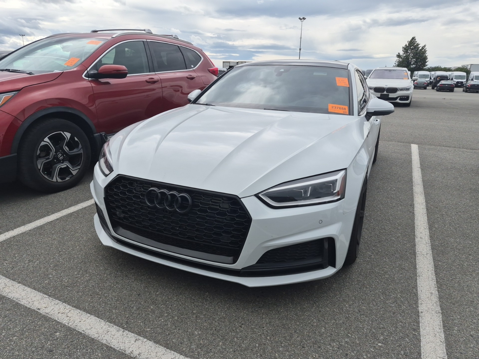 2019 Audi S5 SPORTBACK TECHNIK quattro Prestige
