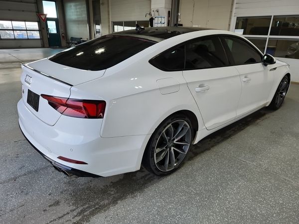 2019 Audi S5 SPORTBACK PROGRESSIV quattro Premium Plus