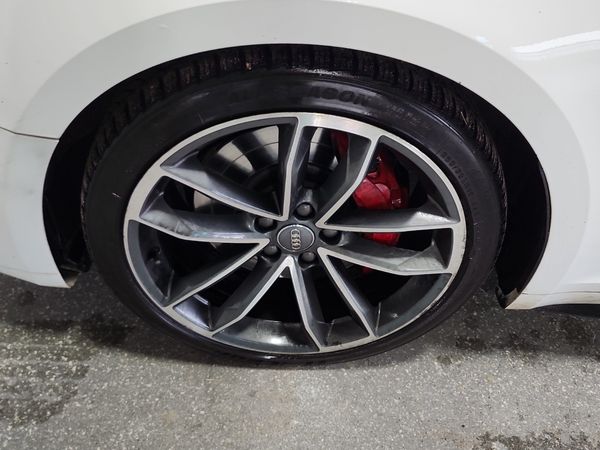 2019 Audi S5 SPORTBACK PROGRESSIV quattro Premium Plus