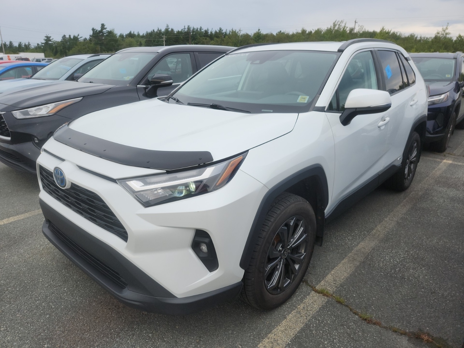 2023 Toyota RAV4 Awd Hybrid Xle