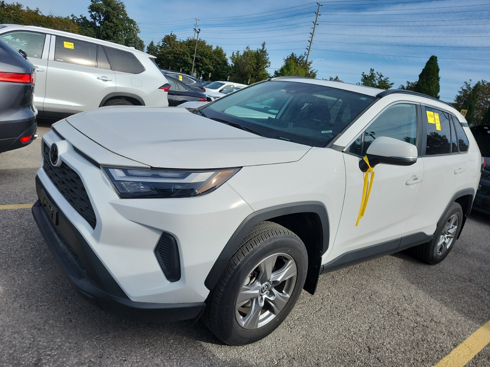 2025 Toyota Rav4 XLE
