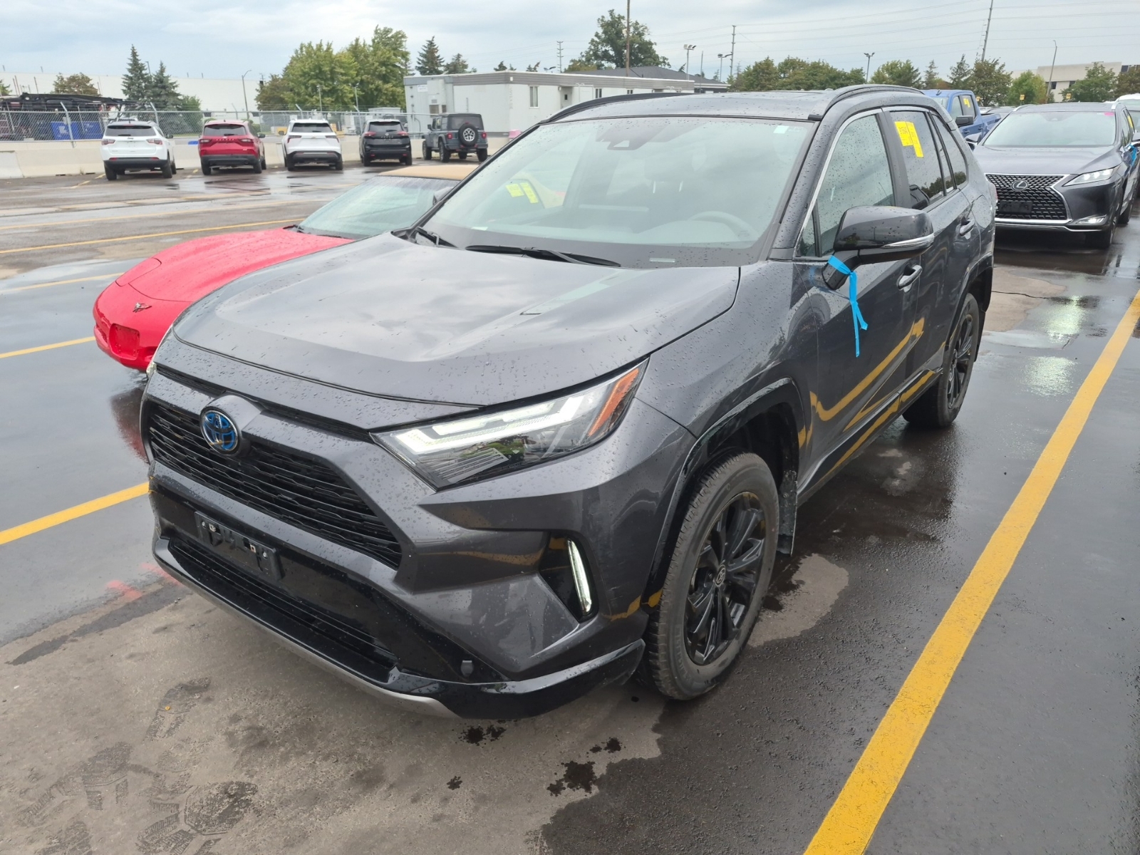 2024 Toyota Rav4 HYBRID XSE