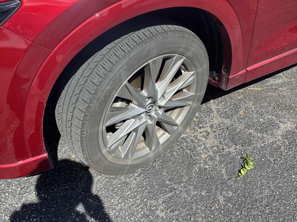2024 Mazda CX-5 AWD Premium Package