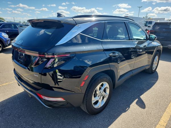 2024 Hyundai Tucson Awd Trend