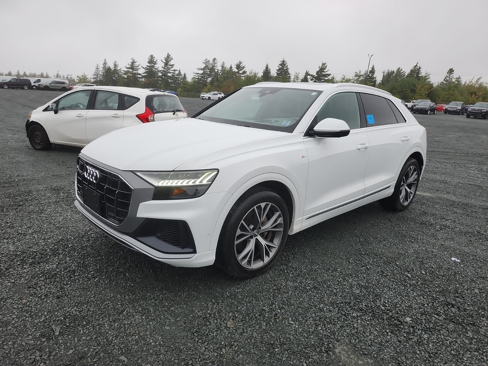 2019 Audi Q8 55 Tfsi Quattro Sport Strim S Line quattro Prestige