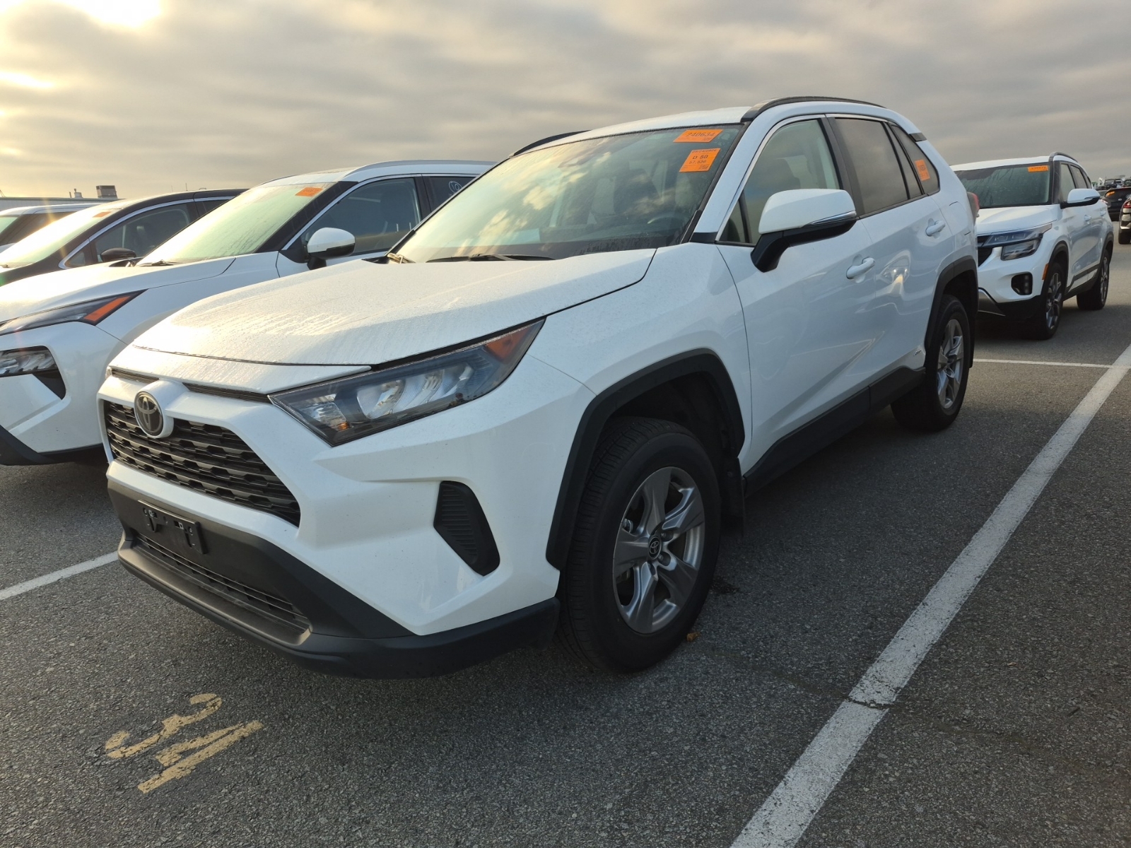 2025 Toyota Rav4 HYBRID LE XLE Premium