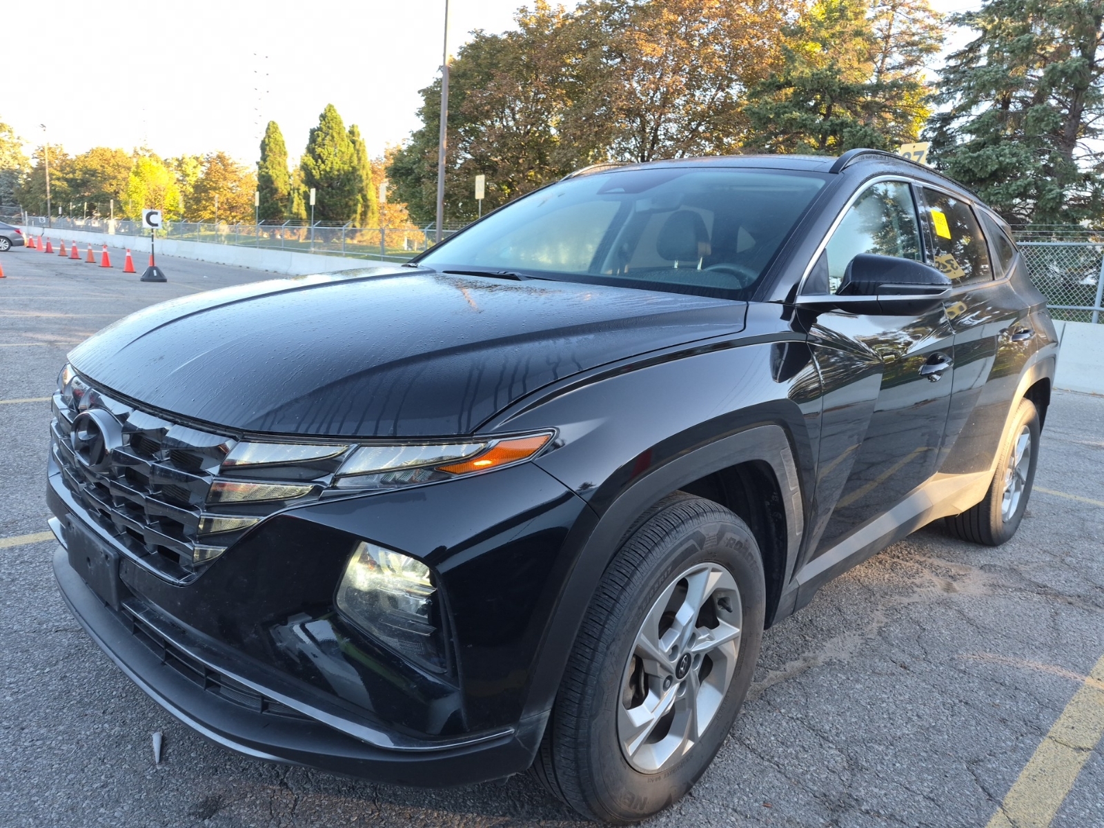 2024 Hyundai Tucson Awd Trend