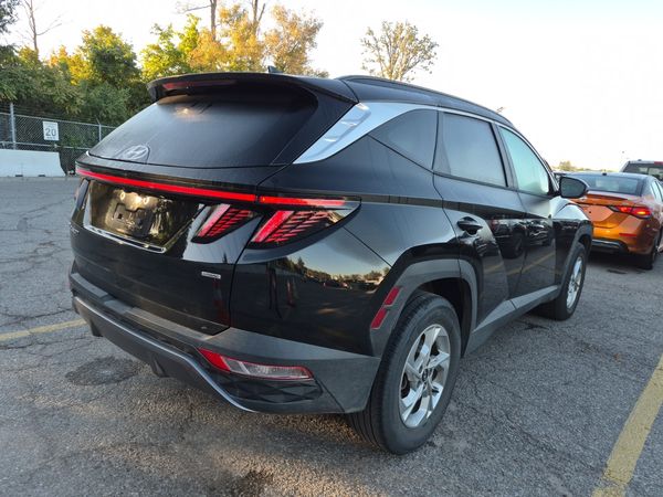 2024 Hyundai Tucson Awd Trend
