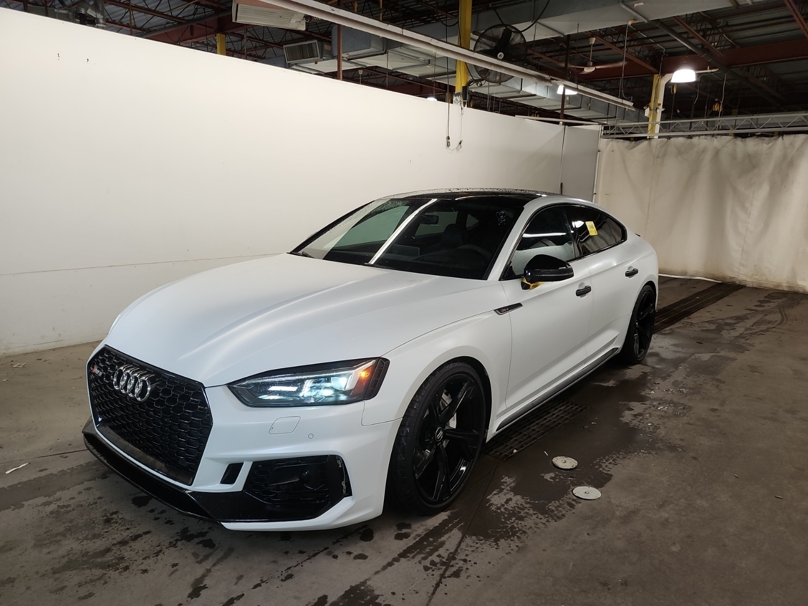 2019 Audi RS 5 SPORTBACK 2.9 TFSI QUATTRO