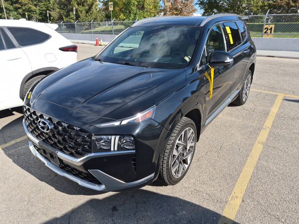2023 Hyundai Santa Fe Awd Ultimate Calligraphy