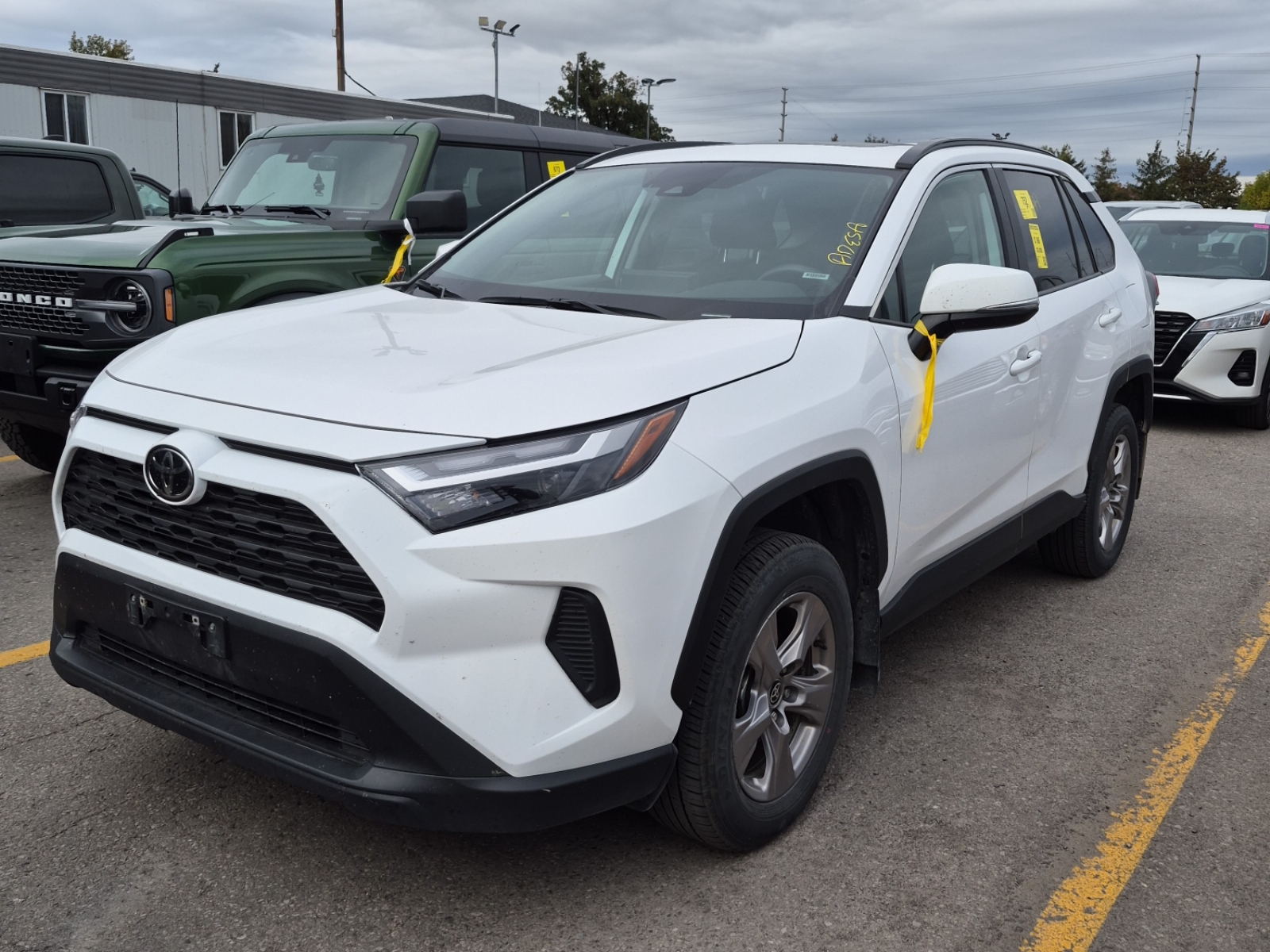 2025 Toyota RAV4 Awd Xle