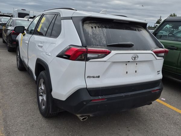 2025 Toyota RAV4 Awd Xle
