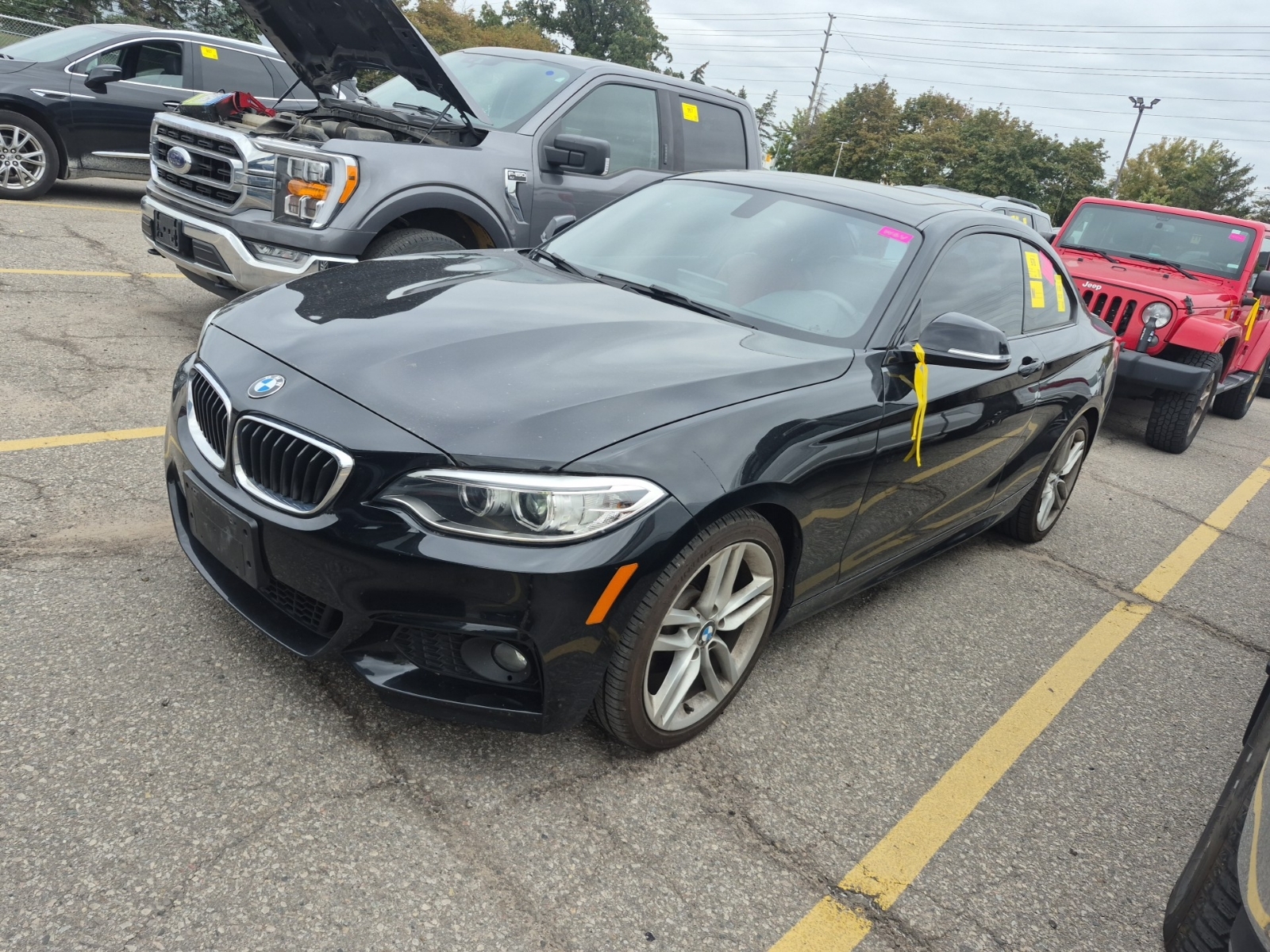 2017 BMW 2 Series 2dr Cpe Awd 230i Xdrive