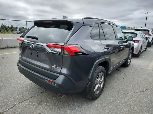 2024 Toyota RAV4 Awd Hybrid Le XLE Premium