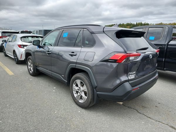 2024 Toyota RAV4 Awd Hybrid Le XLE Premium