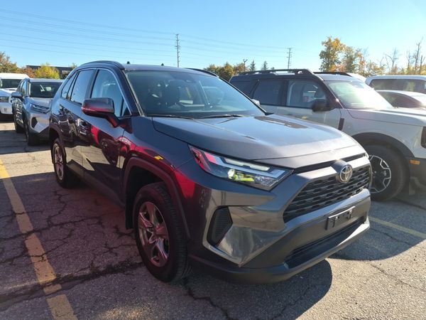 2025 Toyota RAV4 Awd Xle