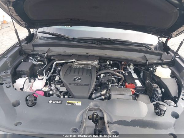 2025 LEXUS TX 350