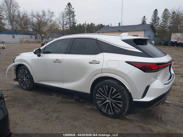 2024 LEXUS RX