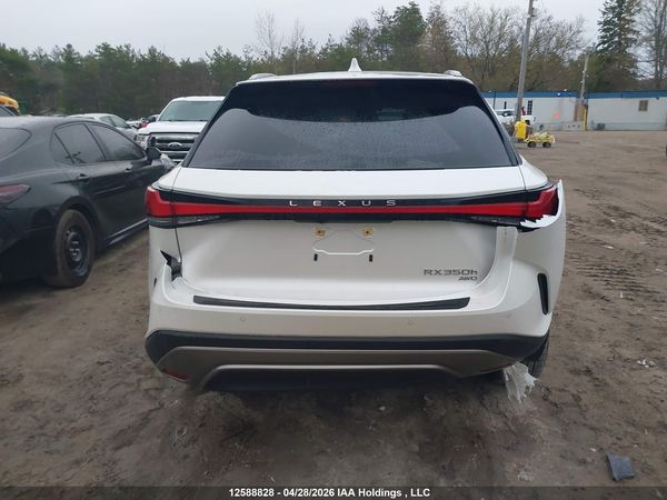 2024 LEXUS RX