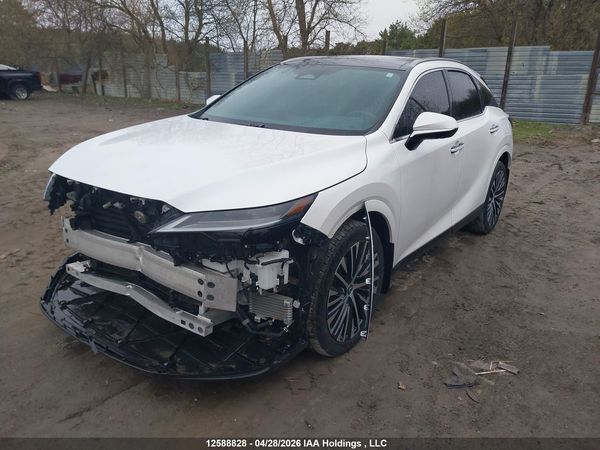 2024 LEXUS RX
