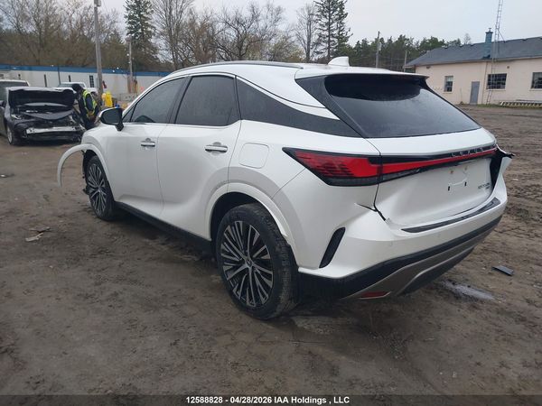 2024 LEXUS RX