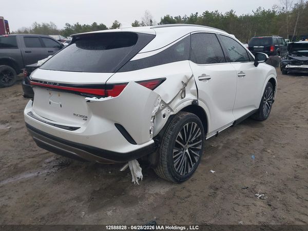 2024 LEXUS RX