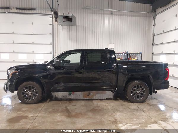 2023 TOYOTA TUNDRA