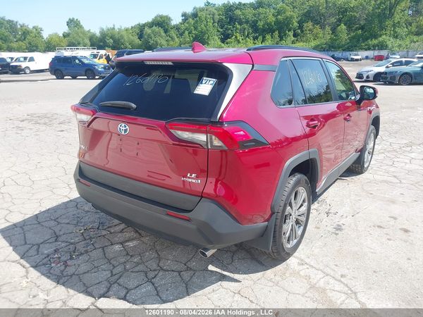 2019 TOYOTA RAV4 LE