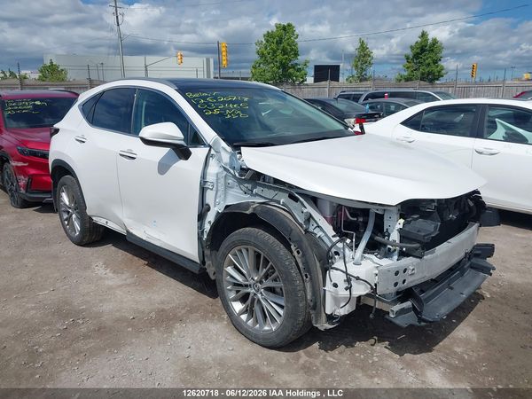 2025 LEXUS NX 350H