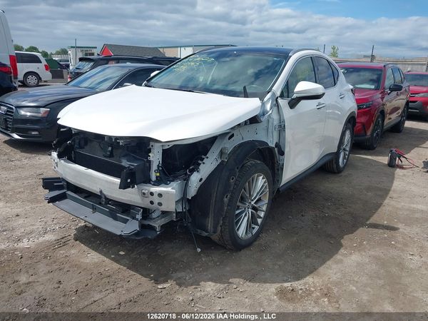 2025 LEXUS NX 350H