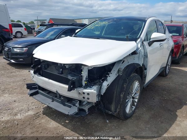 2025 LEXUS NX 350H