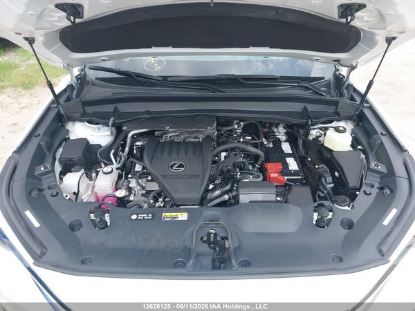 2025 LEXUS TX 350