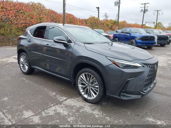 2025 LEXUS NX 350H — I1