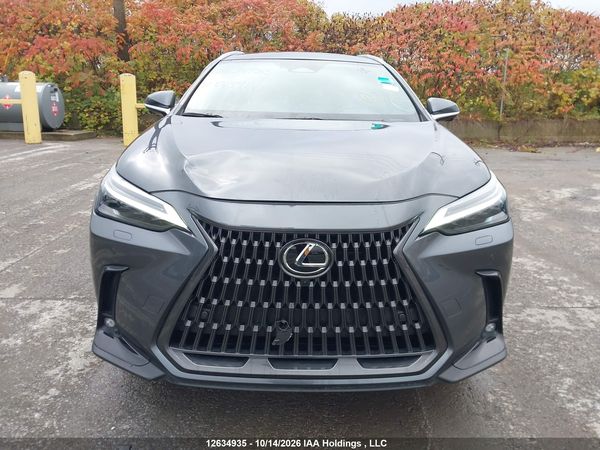 2025 LEXUS NX 350H — I13