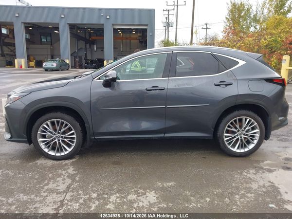 2025 LEXUS NX 350H — I15