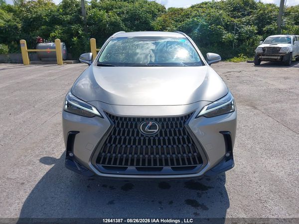 2024 LEXUS NX 350H