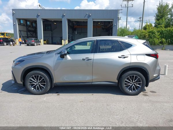 2024 LEXUS NX 350H