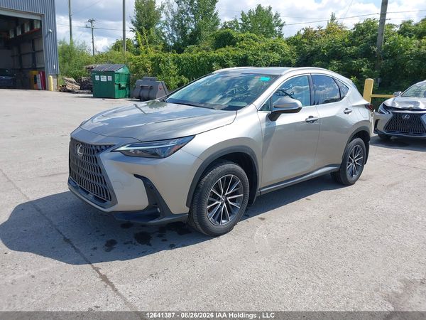 2024 LEXUS NX 350H