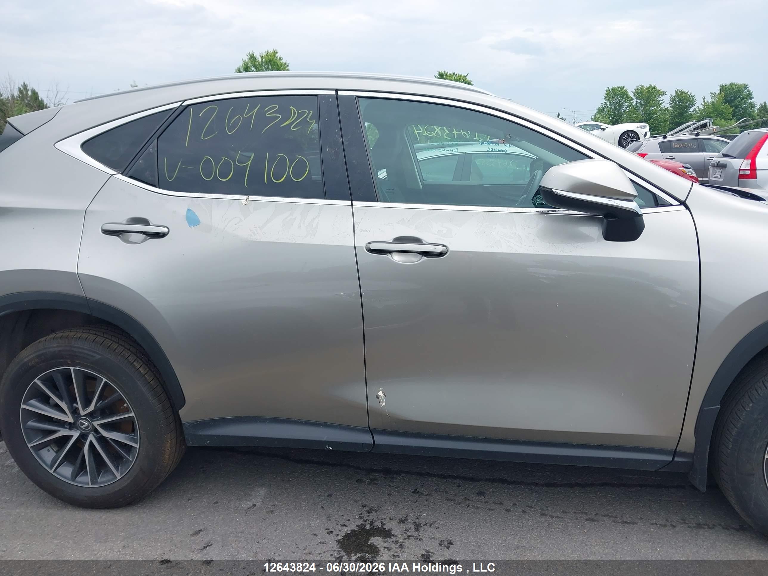 2023 LEXUS NX 250 350 Base