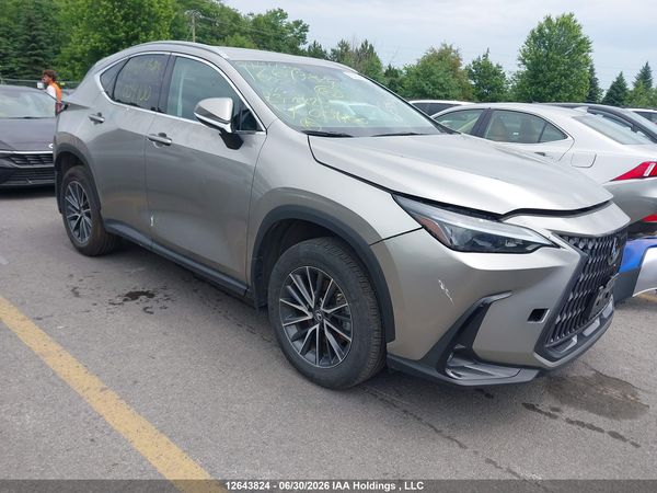 2023 LEXUS NX 250 350 Base