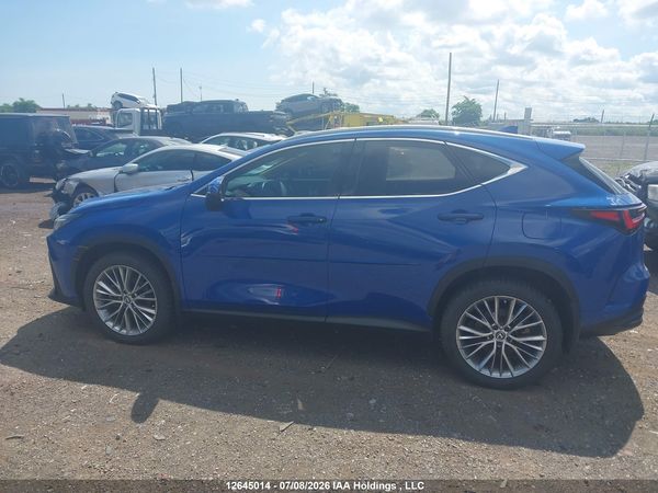2024 LEXUS NX 350H