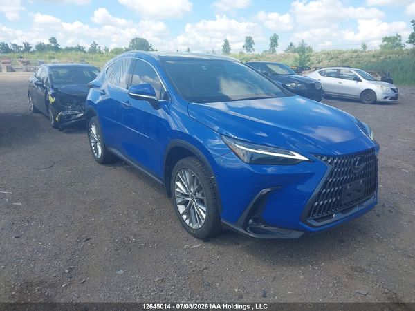2024 LEXUS NX 350H